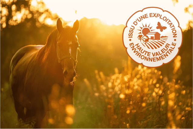 HVE - Dernières chances de bénéficier des 2 500€ de crédit d'impôts !